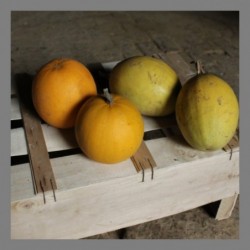 Courgette spaghetti mini