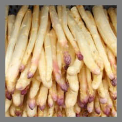 Asperge