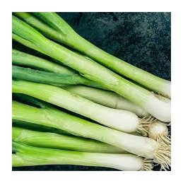 Ciboule japonaise botte 300g