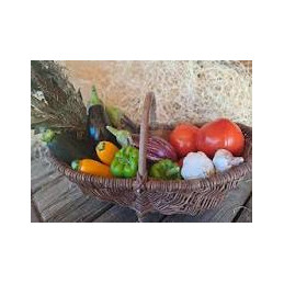 promotion pack ratatouille