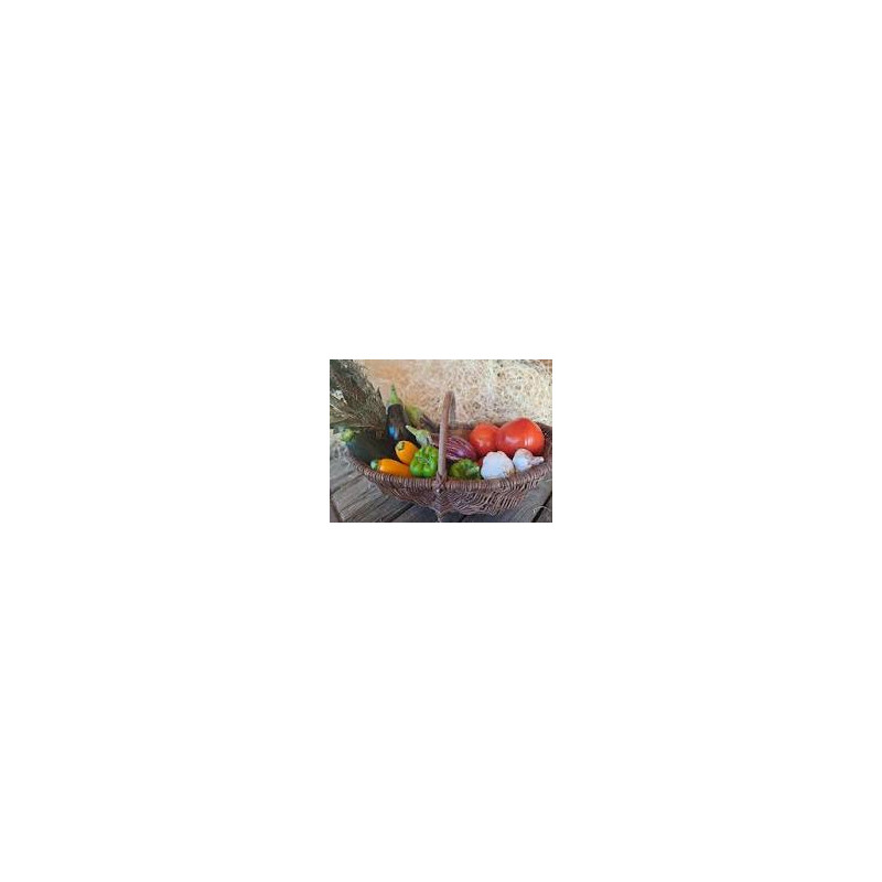 promotion pack ratatouille