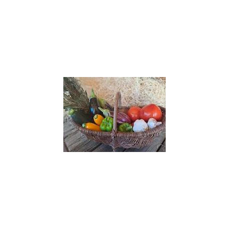promotion pack ratatouille