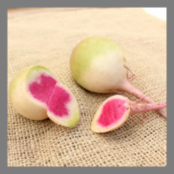 Radis asiatique pastèque 1kg